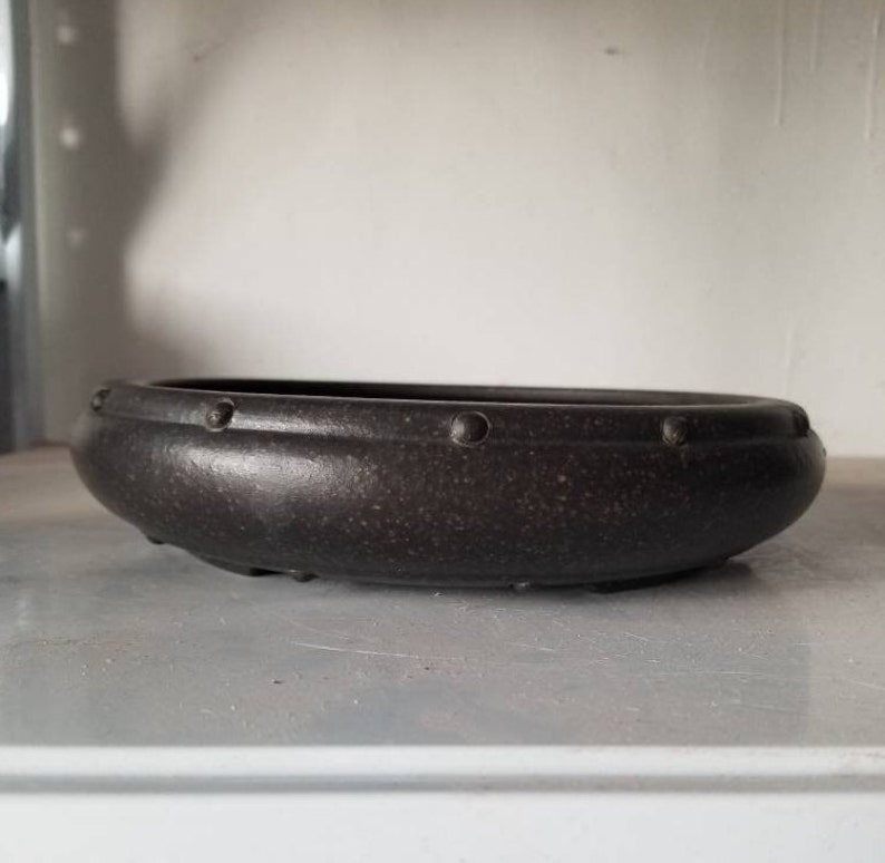 K&ouml;nnte beinhalten: Ein dunkelbrauner Keramik-Bonsai-Topf mit runder Form und texturierter Oberfl&auml;che. Der Topf hat einen erh&ouml;hten Rand mit kleinen, gleichm&auml;&szlig;ig verteilten Punkten am Rand.