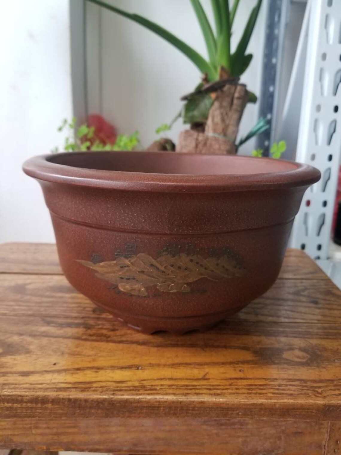 Handmade Round Bonsai Pots Yixing Purple Sand Pottery Pots Mud Etsy