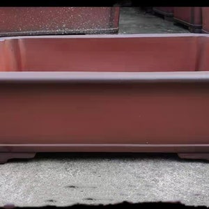 May include: A rectangular terracotta bonsai pot with a dark brown glaze. The pot has a wide, shallow base and a slightly flared rim.