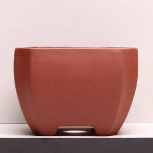 Puede incluir: Una maceta de bonsái de terracota con forma rectangular y cuatro pequeños pies. La maceta es de color marrón rojizo.