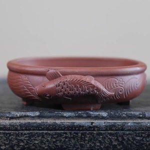 May include: A reddish-brown ceramic bonsai pot with a fish relief design. The oval-shaped pot features a detailed carving of a fish on the side, with wave patterns. The pot is designed for small plants and has a low profile.