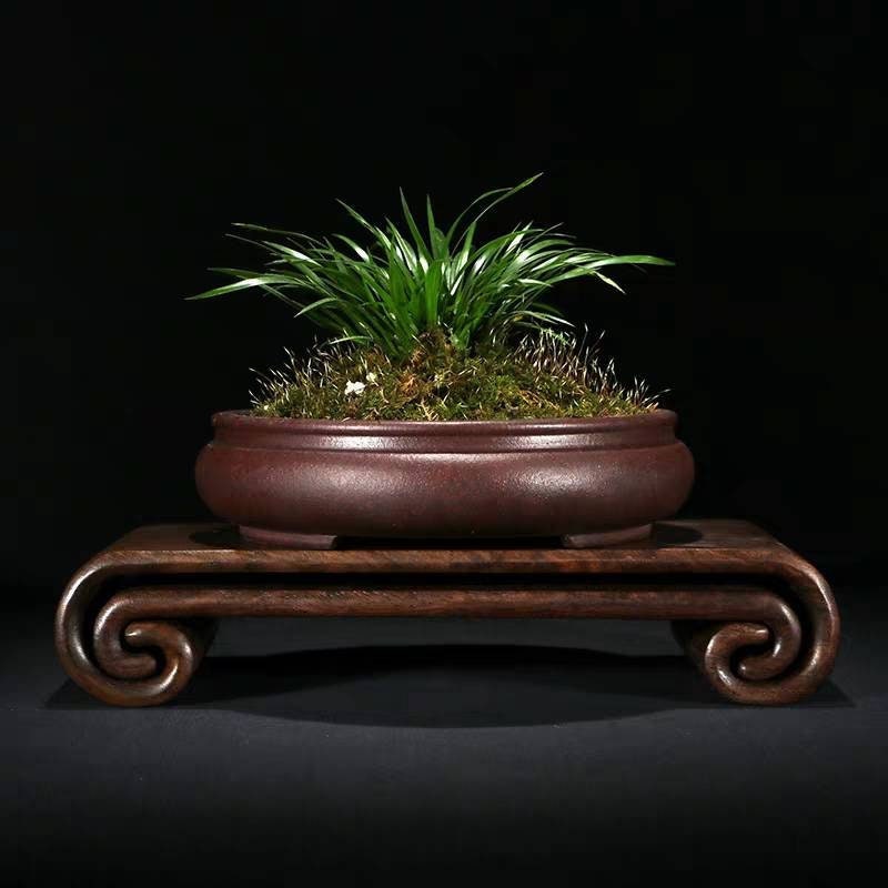 Bonsai planter - Etsy 日本