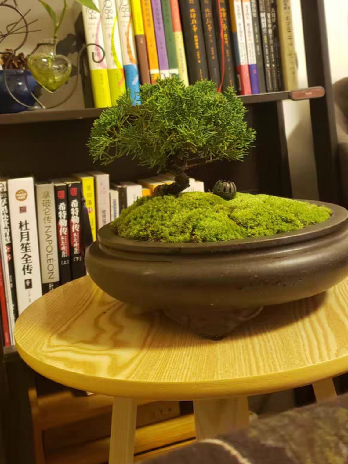 Round shallow bonsai pot threelegged cloud foot Yixing zisha Etsy