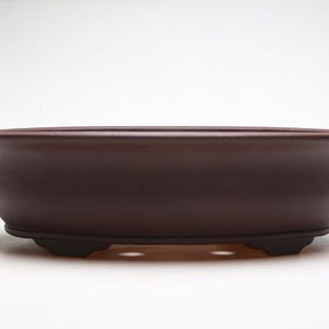 May include: A dark brown oval ceramic bonsai pot with three small feet and drainage holes.