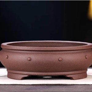 May include: A brown ceramic bonsai pot with a rounded oval shape and a textured surface. The pot has a raised rim and a series of small, evenly spaced dots around the rim and sides. The pot has three small feet on the bottom.