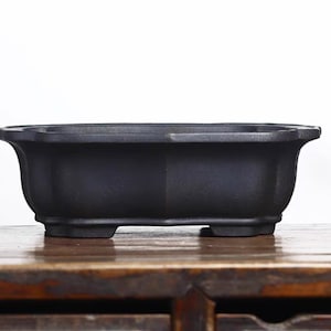 May include: A black ceramic bonsai pot with a rectangular shape and rounded edges. The pot has four small feet and a slightly flared lip.