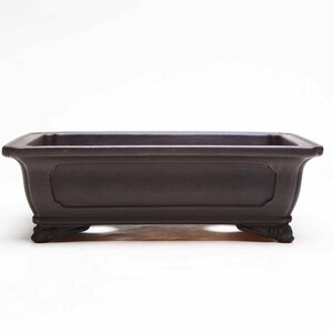 May include: A dark brown rectangular bonsai pot with a slightly curved rim and decorative panels on the sides. The pot is supported by four ornate feet, and is designed for growing small trees.