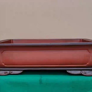 May include: A rectangular terracotta bonsai pot with a dark brown glaze and three decorative feet. The pot is empty and ready for planting.