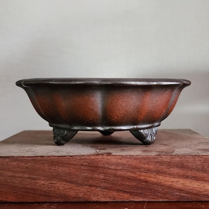May include: A brown ceramic bonsai pot with a textured surface and three decorative feet. The pot has a wide, shallow design with a slightly flared rim. The colour is a mix of reddish-brown and dark brown.