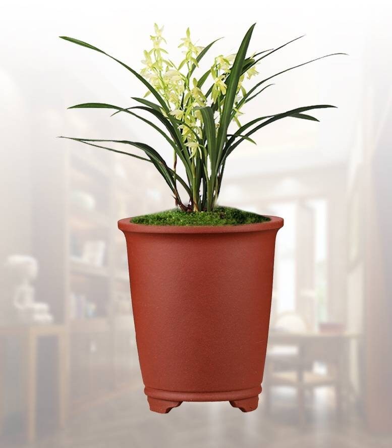 シンプルな素焼きの通気性のある植木鉢宜興紫砂植木鉢/蘭鉢多肉植物