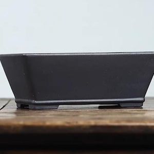 May include: A black rectangular bonsai pot with a square base and slightly angled sides.