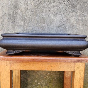 May include: A dark gray rectangular bonsai pot with rounded sides and decorative feet. The pot is made of a textured material and sits on a small wooden table. The background is a weathered concrete wall.