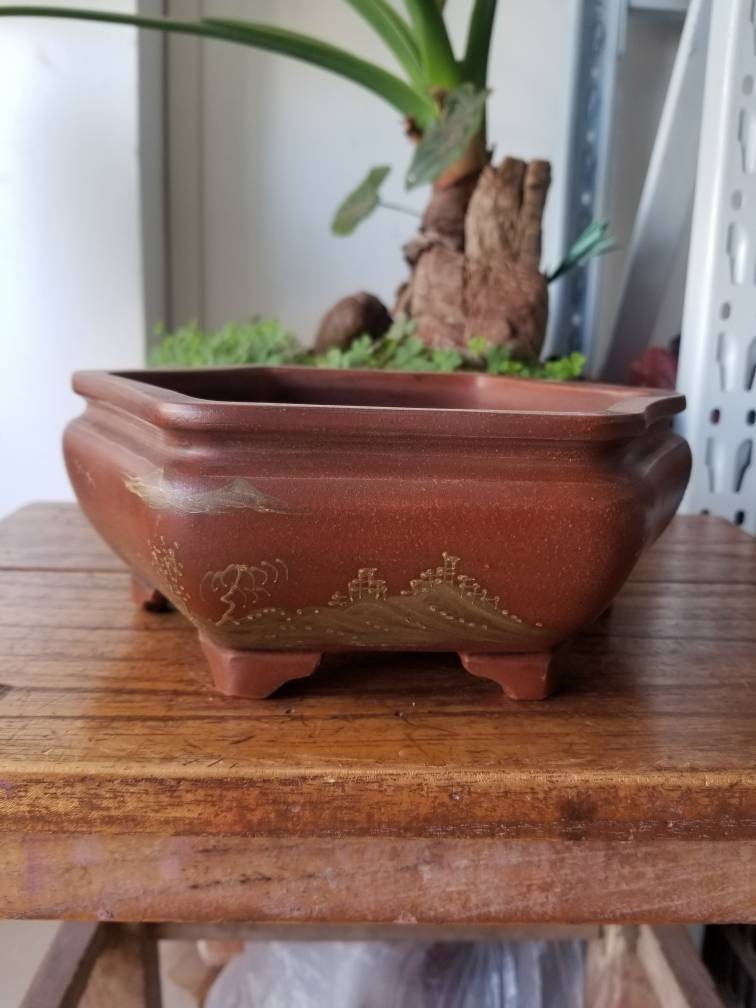 Handmade bonsai pot six square shallow bonsai pots China Etsy