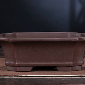 Puede incluir: Una maceta rectangular de bonsái de cerámica marrón con un borde ligeramente acampanado y cuatro pequeños pies.