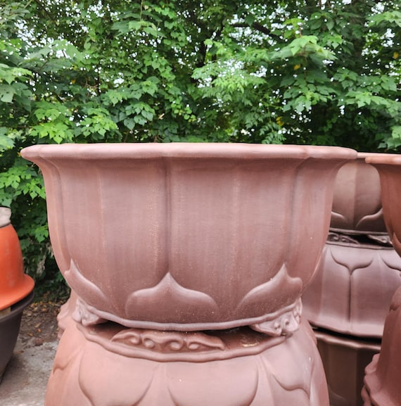120 cm handgemachte groe Lotus frmige Bonsai Schale Yixing lila Sand  Blumentopf Retro unglasierte Blumentopf Kiefer Bonsaischale Garten  Blumentopf - Etsy.de