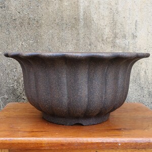 May include: A dark brown ceramic planter with a scalloped rim and a textured surface. The planter has a wide, shallow bowl shape.