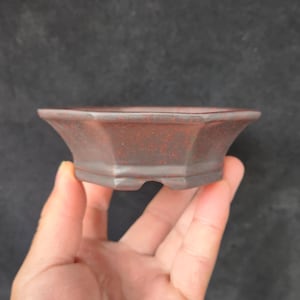 Op de afbeelding: Een kleine, zeshoekige, donkerbruine bonsai pot met een rode glazuur. De pot heeft een licht uitlopende rand en een platte bodem met vier voetjes.