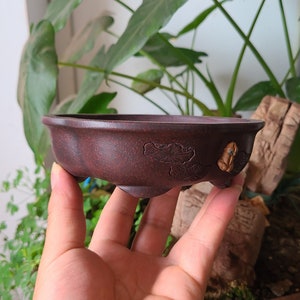 May include: A dark brown ceramic bonsai pot with a scalloped rim and three feet. The pot has a decorative design of stylized flowers and leaves.