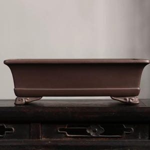 Peut inclure: Un pot à bonsaï rectangulaire en céramique brune avec trois pieds. Le pot est posé sur une surface en bois foncé.