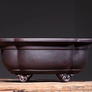 May include: A dark brown, oval-shaped ceramic planter with four decorative feet. The planter has a slightly flared rim and a smooth, textured surface.