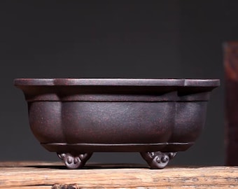 Puede incluir: Un macetero de cerámica de color marrón oscuro, de forma ovalada, con cuatro patas decorativas. El macetero tiene un borde ligeramente acampanado y una superficie lisa y texturizada.