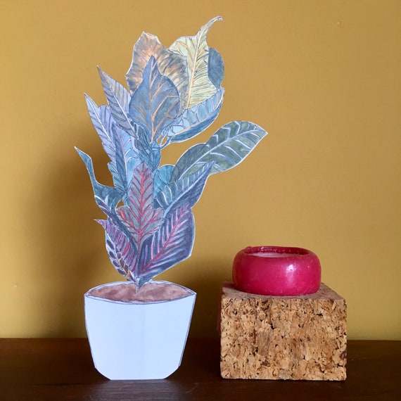 Immortal Houseplant, illustration by Made by Nomela.