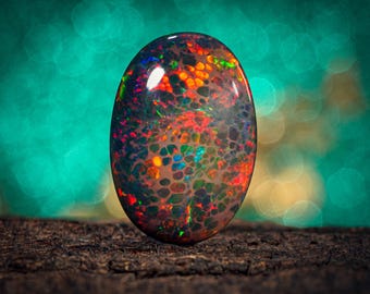 May include: An oval-shaped black opal gemstone featuring a vibrant mosaic pattern of red, orange, green, and blue flashes of color throughout its polished, dark, and semi-translucent surface.