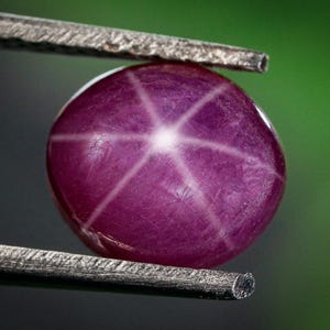 May include: A close-up of a polished, round, star ruby gemstone. The gem is held by a pair of tweezers. The ruby is a deep purplish-red color with a six-rayed star pattern. The background is a blurred green and black.