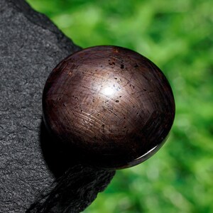 May include: A dark brown, polished sphere with a reflective surface, positioned on a dark, textured stone. The sphere displays subtle striations and a slight sheen, set against a blurred green backdrop, implying a natural environment.