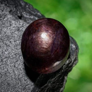 May include: A dark, round gemstone with a polished surface, displaying a deep burgundy color with subtle light reflections. The gem rests on a rough, dark gray stone, set against a blurred green background.