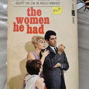 The women he had by Lisa Fanchon Domino books 1966 vintage sleeze pulp fiction