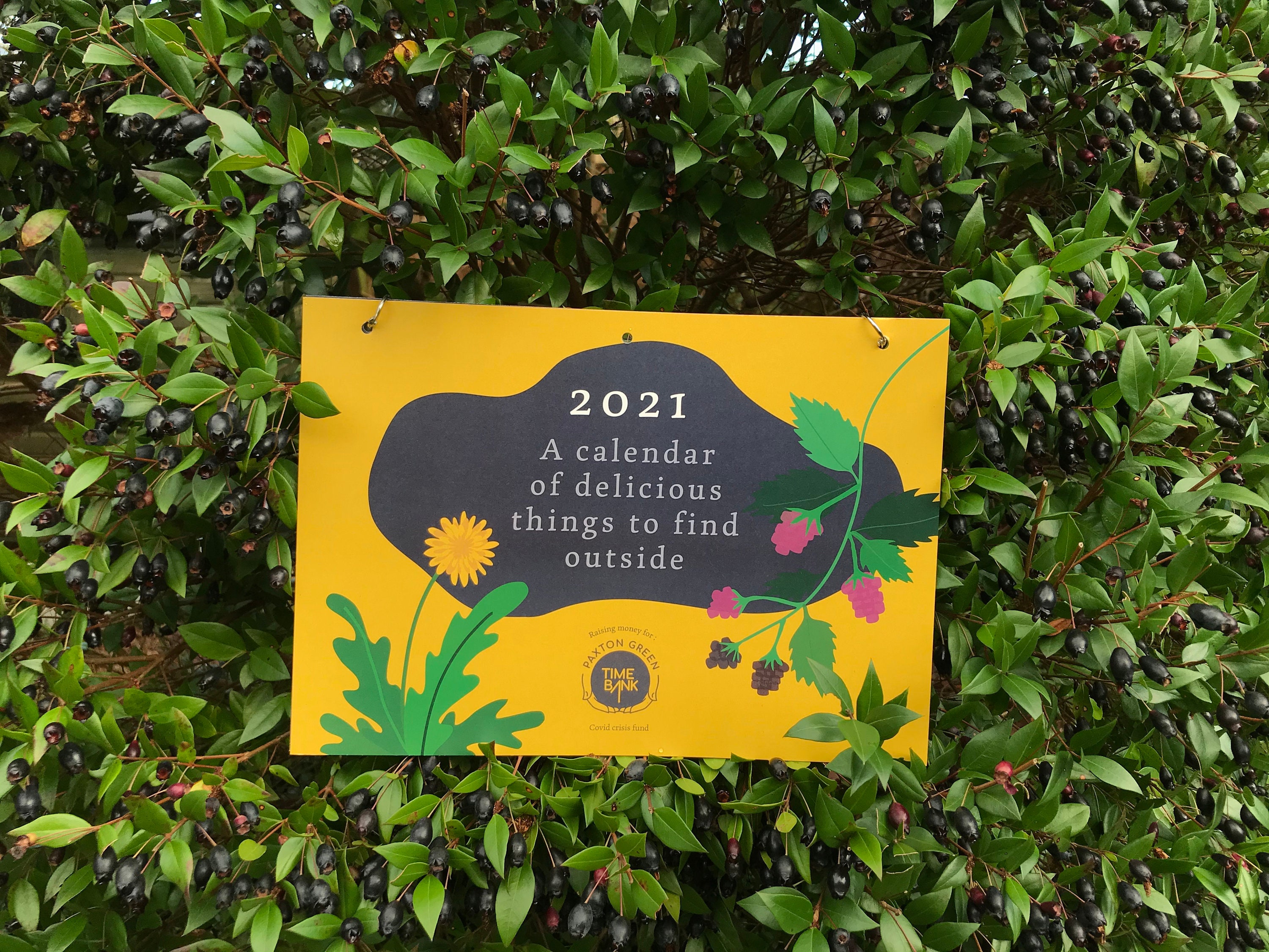 2021 Illustrated Foraging Calendar Etsy