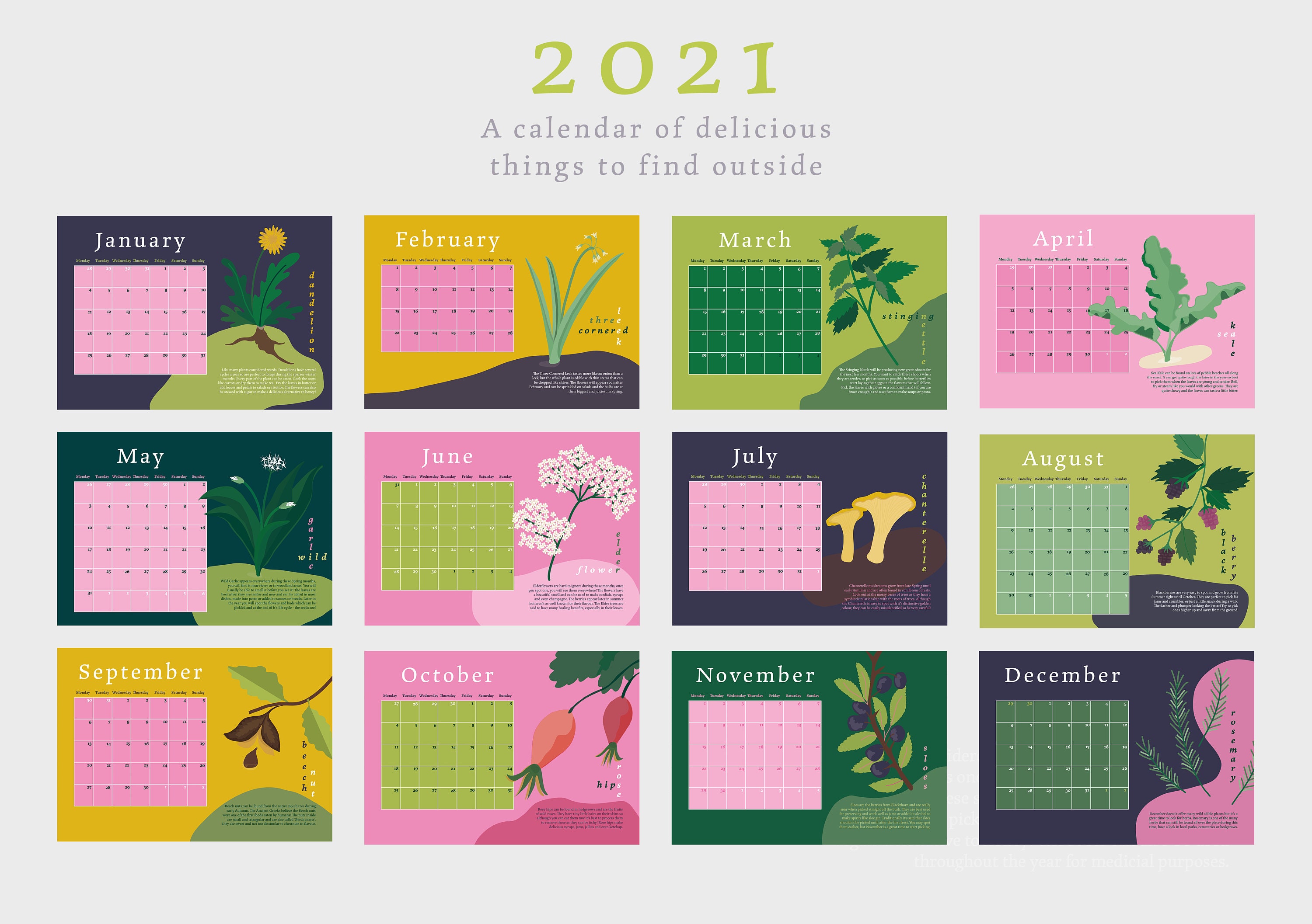 2021 Illustrated Foraging Calendar Etsy