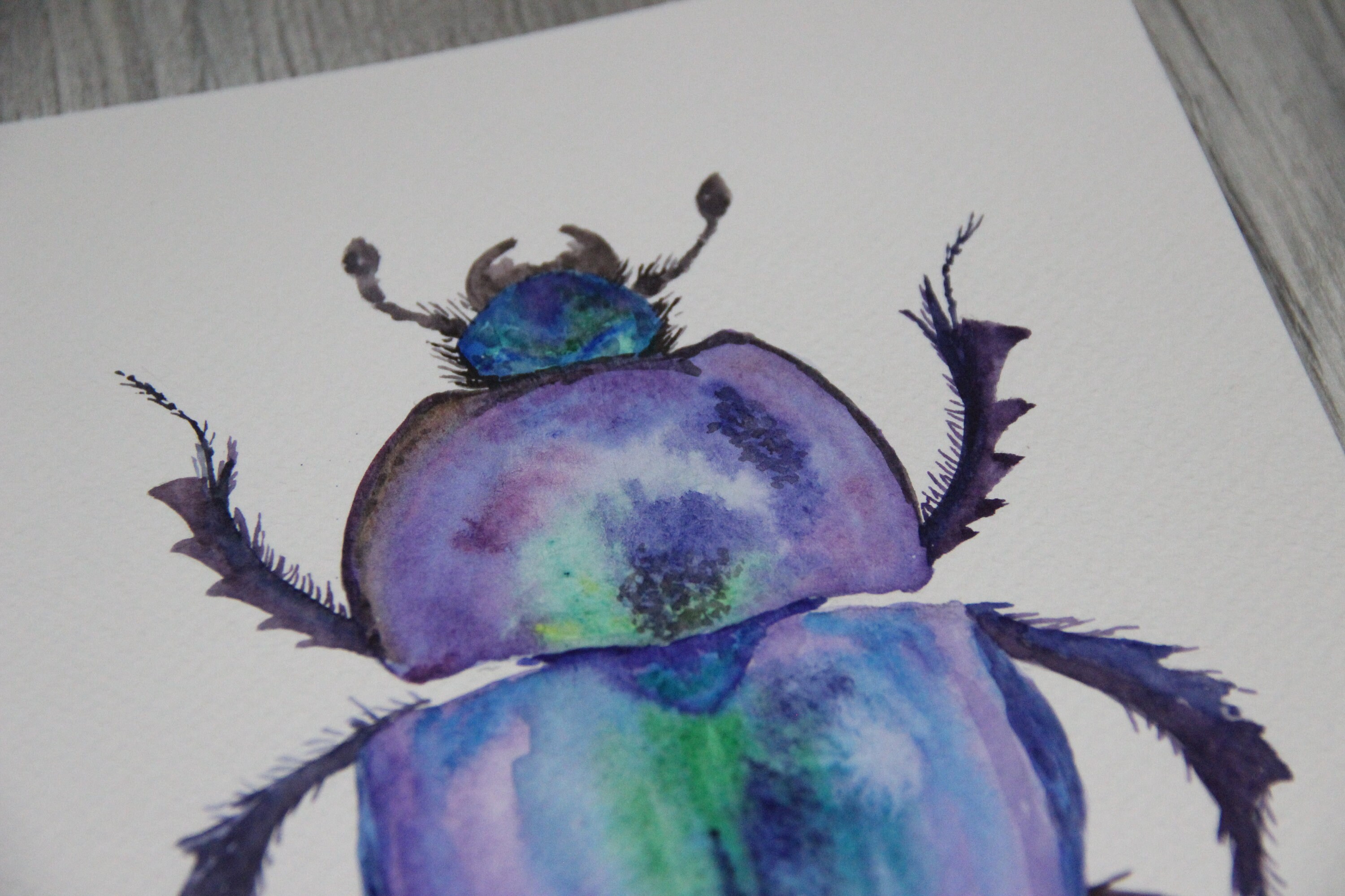 Bug Watercolor Original Painting Insect Watercolor Art Small Etsy