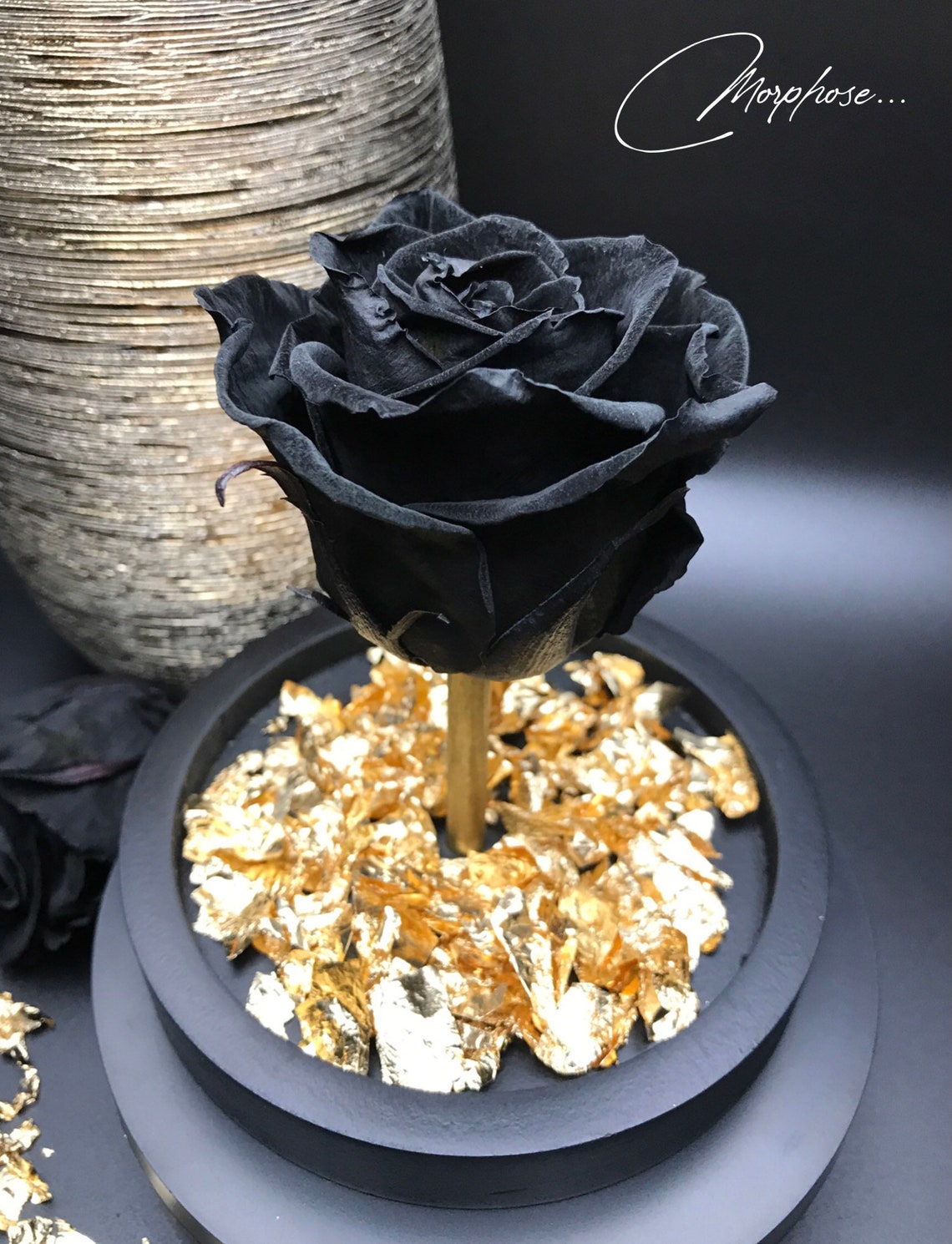 Real Eternal Black Rose Under Glass Bell and Bed of 24carat Etsy