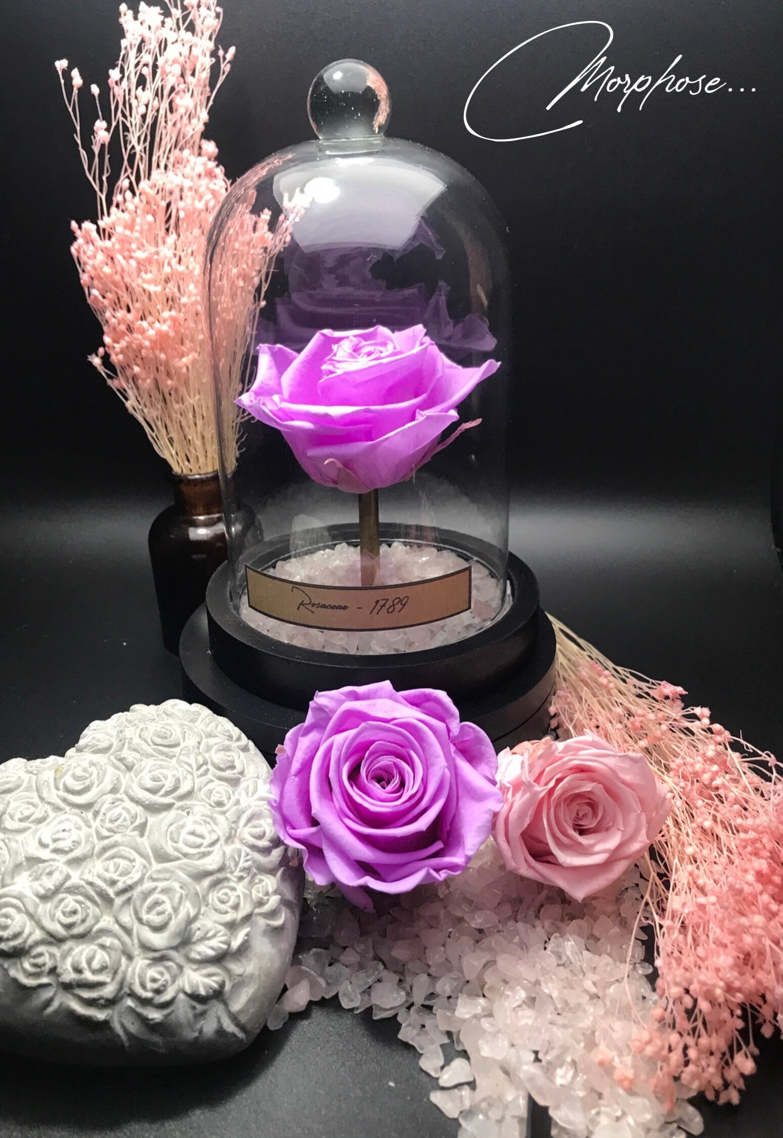 Véritable rose Éternelle