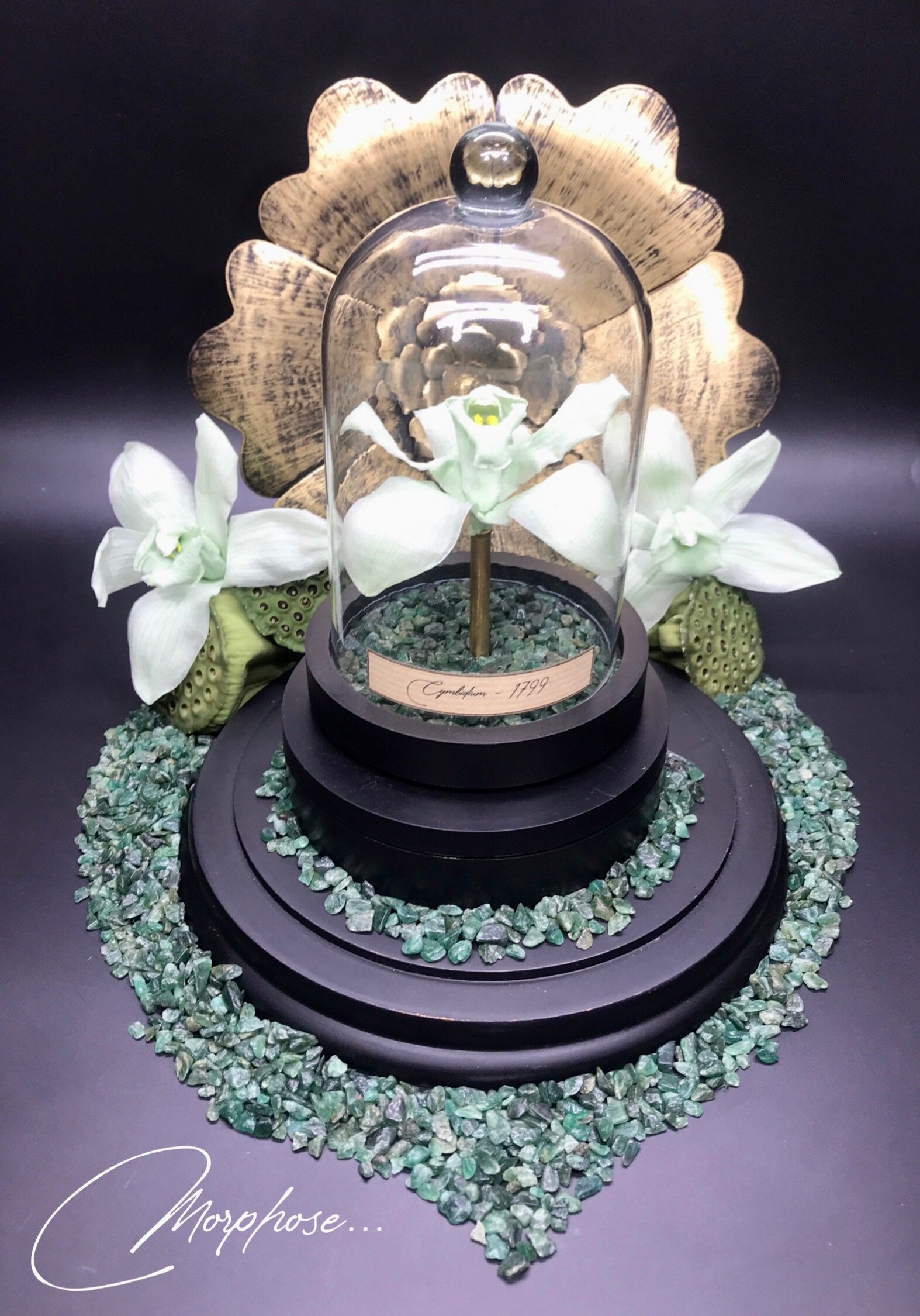 Véritable Orchidée Cymbidium Verte Éternelle, Sous Cloche de Verre. Décoration Pour Cabinet Curiosit