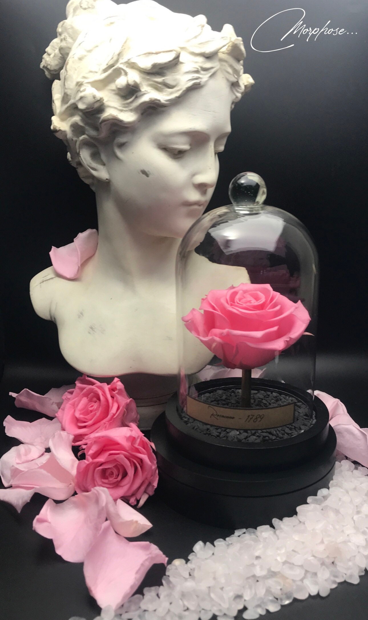 Véritable rose Éternelle