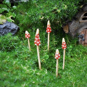 5 Stück Miniatur Pilze