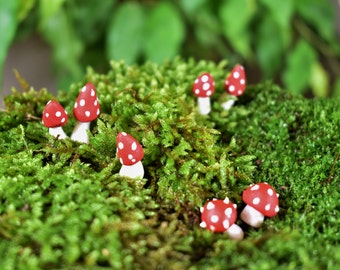 7 miniature mushrooms
