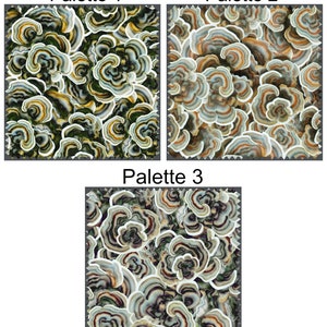 May include: Three different color palettes of a mushroom pattern. The pattern is a close-up of a cluster of mushrooms with a white, gray, and brown color scheme. The first palette has a green background, the second palette has a light brown background, and the third palette has a dark gray background.