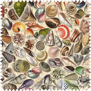 May include: A colourful pattern of seashells in various shapes, sizes, and colours. The shells are arranged in a random pattern on a cream-coloured background.
