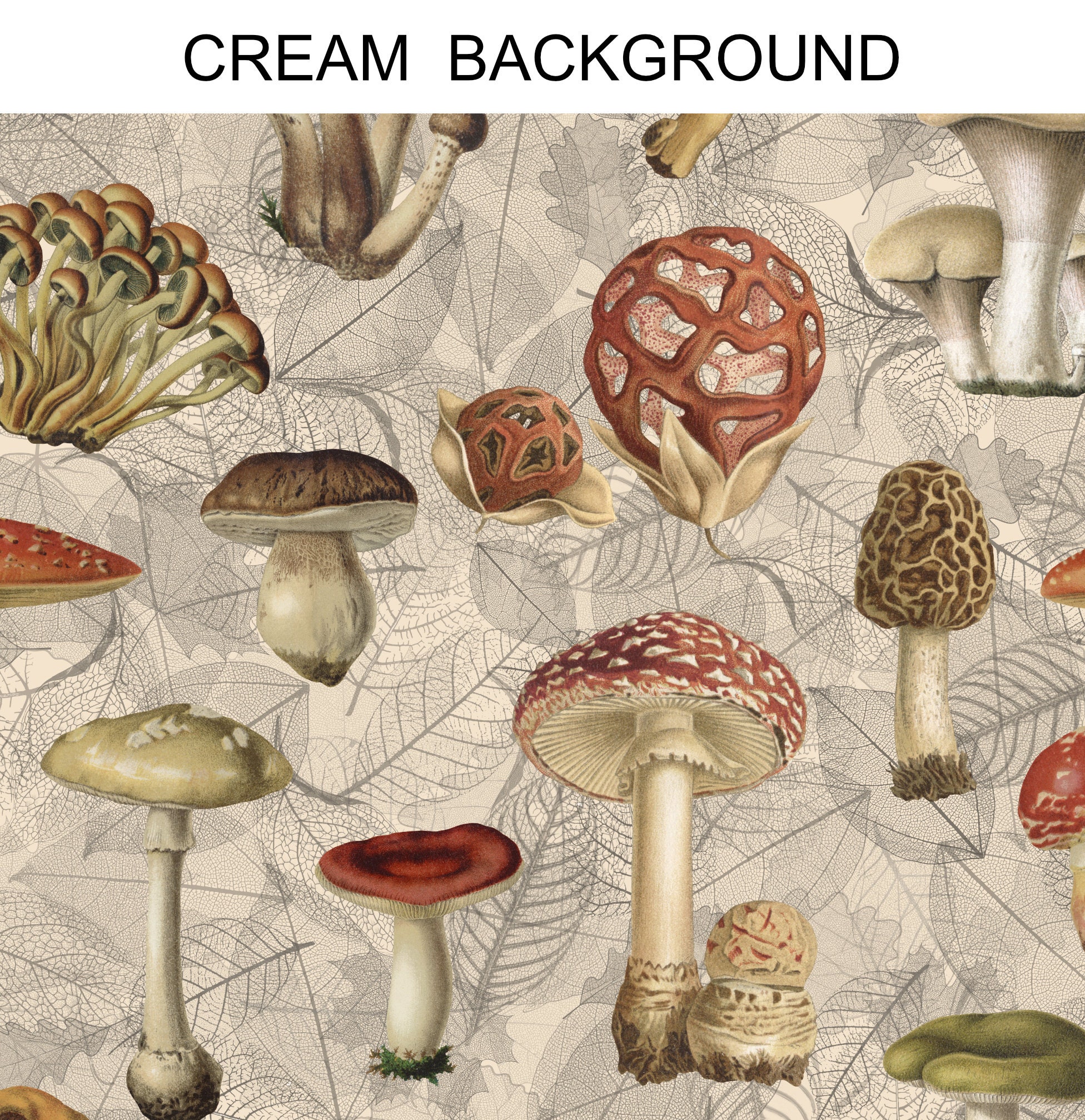 Botanical Mushroom Wallpaper Mural, Peel & Stick and Traditional ...