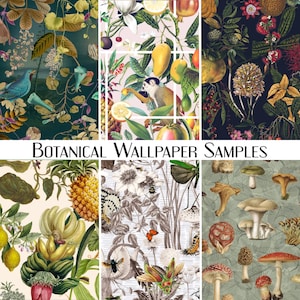 Botanische Tapetenmuster | Abnehmbare Tapete Muster | Muster einer Tapete abziehen und aufkleben | Paste The Wall Wallpaper Probe