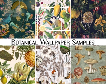 Botanical Wallpaper Samples | Removable Wallpaper Sample | Peel & Stick Wallpaper Sample | Paste The Wall Wallpaper Sample