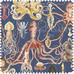 Cephalopods Fabric, Octopus Fabric, Velvet Fabric | Material, Organic | Waterproof Canvas Fabric, Fish | Aquatic | Sea | Underwater Fabric