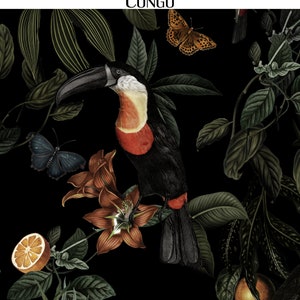 Pode incluir: Um tucano preto com bico e garganta vermelhos empoleirado em um galho com frutas laranja e folhas verdes. Tamb&eacute;m h&aacute; uma borboleta azul e uma borboleta marrom na imagem. O fundo &eacute; preto.