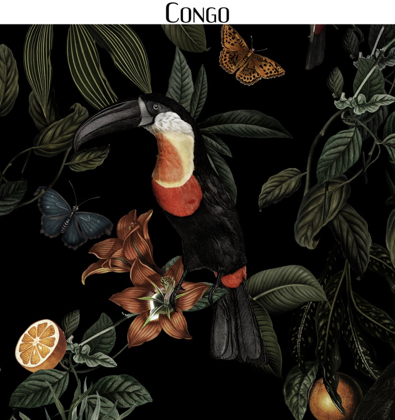Pode incluir: Um tucano preto com bico e garganta vermelhos empoleirado em um galho com frutas laranja e folhas verdes. Tamb&eacute;m h&aacute; uma borboleta azul e uma borboleta marrom na imagem. O fundo &eacute; preto.