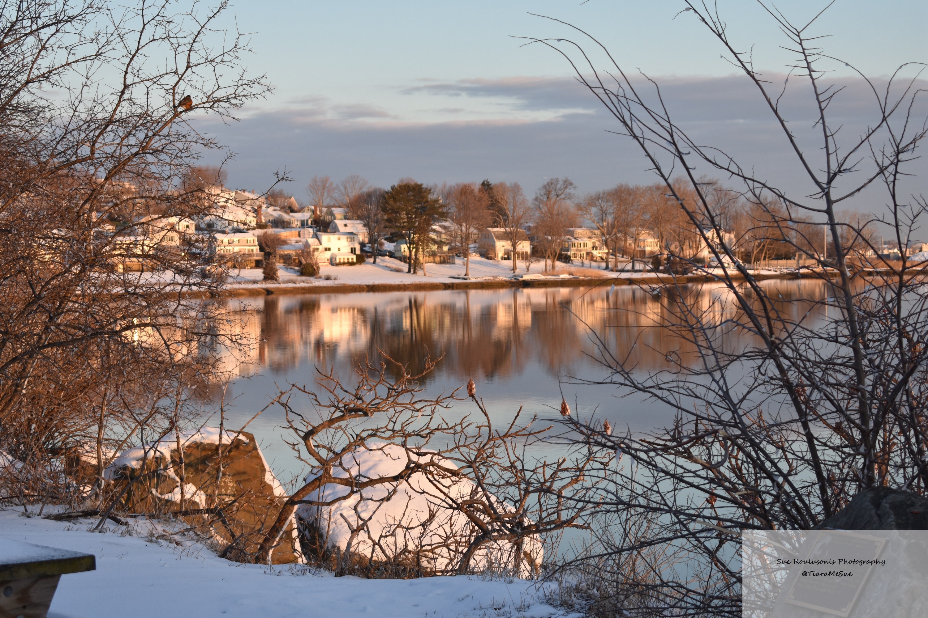 Batch 4 Digital Photos Winter Scene  / Printable Photo Wall Art / Digital Photo / Digital Photography / Digital Wall Art / Wall Décor