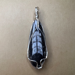 Orthoceros Fossil Pendant